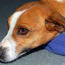 Tellico Plains Clinic - Veterinarians