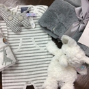Mulberry Kids - Clothing Stores