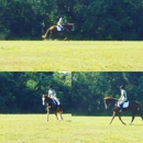 Leprechaun Lane Training Center - Horse Training