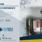 FDP Mold Remediation of Miami