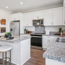 Dawson Pointe at West Creek by D.R. Horton - Home Builders