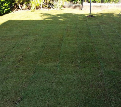 Ipswich Turf Supplies - Coominya, QLD