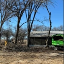 Burleson Tree Service - Tree Service