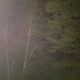 Wolf Laurel Country Club Inc