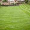 Precision Lawn Maintenance gallery