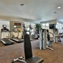 The Met at Fashion Center Apartments - Apartment Finder & Rental Service