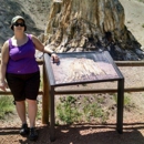 Florissant Fossil Beds National Monument - Historical Places