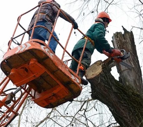 RICHMOND VALLEY TREE SERVICES - Casino, NSW