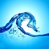 The Water Hook Up gallery