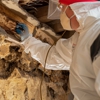 Fenix Pest Control Inc gallery