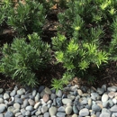 The Green Shape - Landscape Designers & Consultants