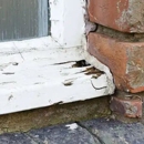 Bluegrass Foundation Repair