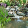 Sunland Water Gardens gallery