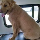 Inland Empire Mobile Pet Salon - Dog & Cat Grooming & Supplies