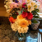 Bloomies Studio
