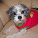 DEBBIE'S PET SITTING - Pet Sitting & Exercising Services