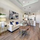 Live at Pine Market - Apartments