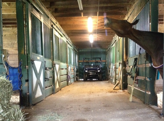 Misty spring stables - Ringtown, PA