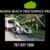 Virginia Beach Tree Service Pros gallery