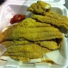 Sharks Fish and Chicken