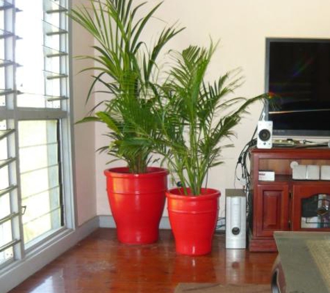 Quality Indoor Plants Hire - Girraween, NT