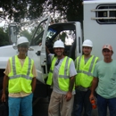 Usa Tree Svc - Arborists