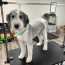 Ash's Little Shop of Howlers - Pet Services
