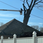 Eduardo's Tree Service