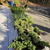 A.J.'s Evergreen Nursery gallery