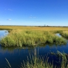 Marine Nature Study Area gallery