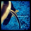 Superway Aquarium gallery