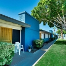 Connect on University Apartments - Apartments