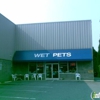 Wet Pets gallery