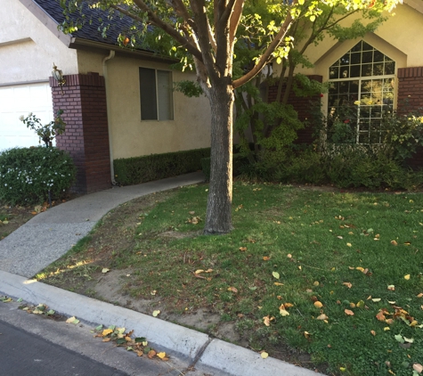 Champagne Landscaping Nursery - Fresno, CA. View from street 10/17/2016