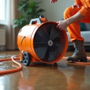 Clearwater Mold - Building Restoration & Preservation