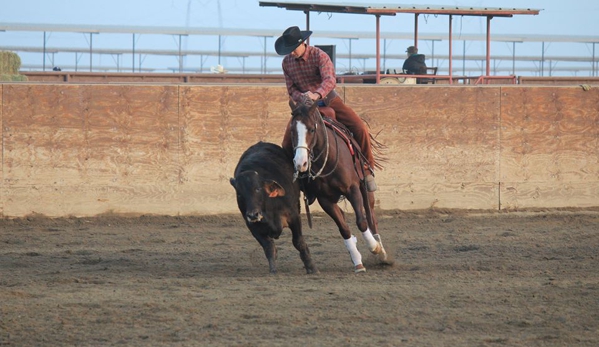 Rancho Linda Mio Horse Boarding & Training Facility - Simi Valley, CA