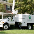 Almstead Tree & Shrub Care Co - Landscaping & Lawn Services