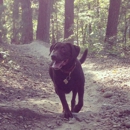 Forest Hill Park