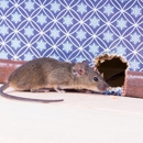 North Shore Mice Patrol - Inspection Service