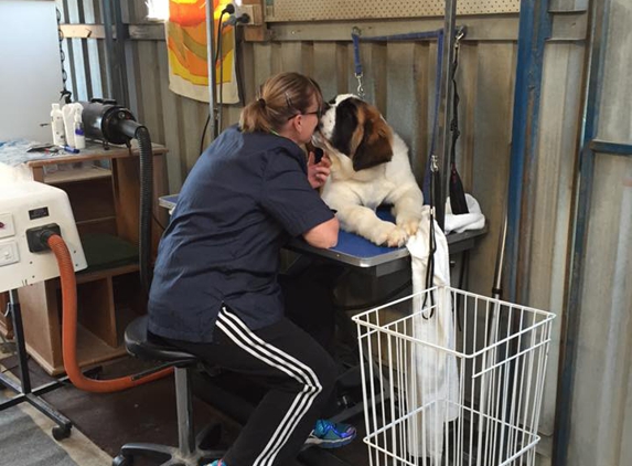 G.V. Pet Grooming - Shepparton, VIC