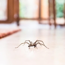 OPC Pest Services - Bowling Green - Bird Barriers, Repellents & Controls