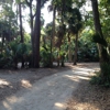 Tomoka State Park Museum gallery