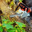 Dade Pro Tree Service - Tree Service