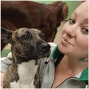 The Wright Pet Daycamp & Boarding - Pet Boarding & Kennels