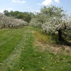 Styer Orchard