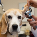 Emmerson Animal Hospital - Veterinarians