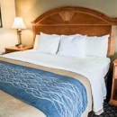Quality Inn Bradenton North I-75 - Motels