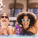 Purple Zebra at Harrah's Gulf Coast - Bars