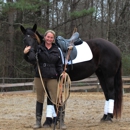 Deanna Thompson Dressage - Horse Training