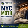Positive Pest Management gallery
